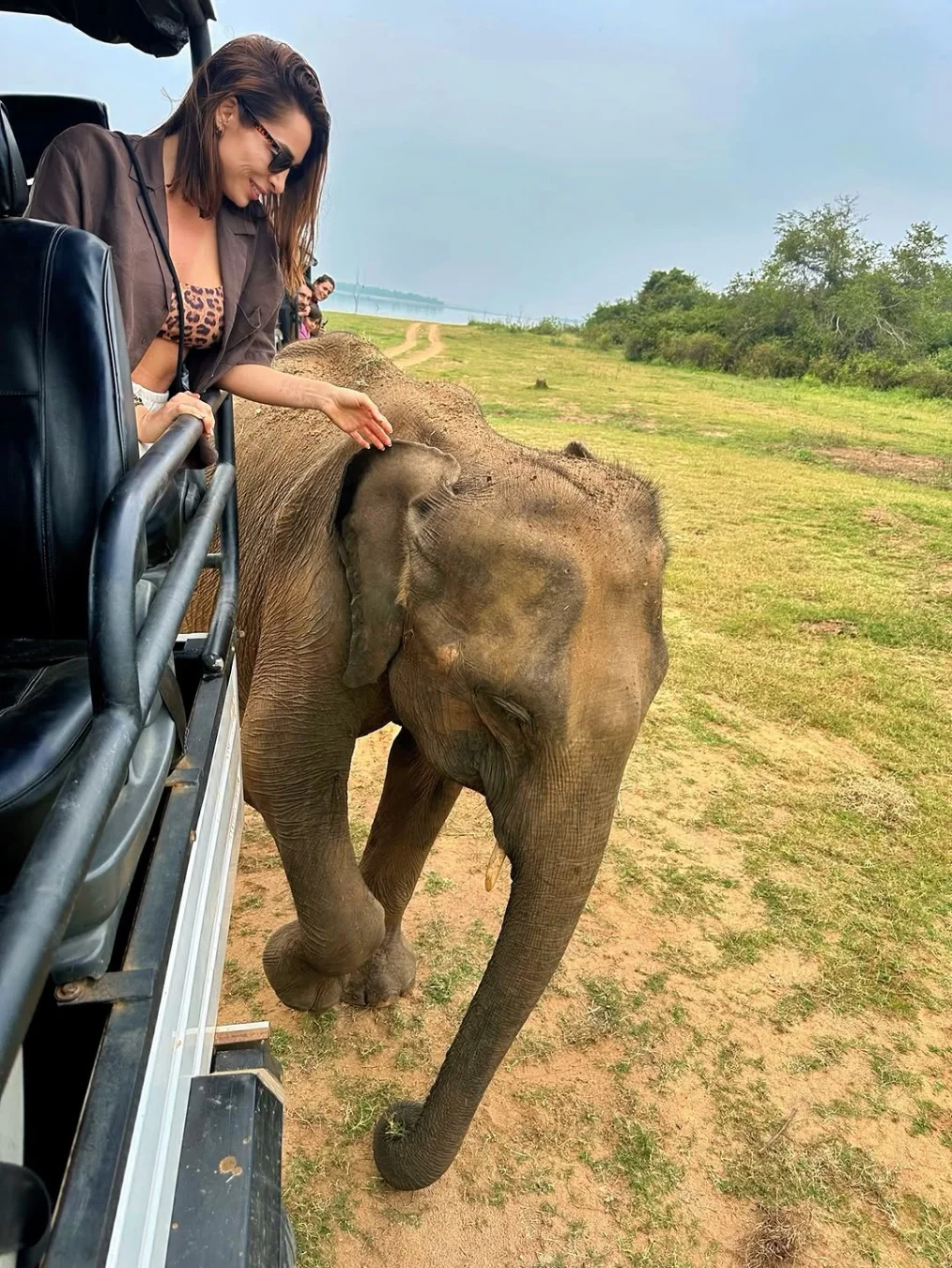 Elephant and Leopard Safari